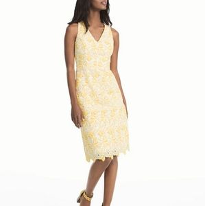 White House  Black Market sheath dress